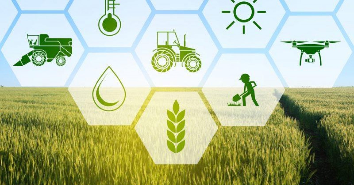 A Tecnologia Agrícola como potencial de transformação na forma como produzimos alimentos