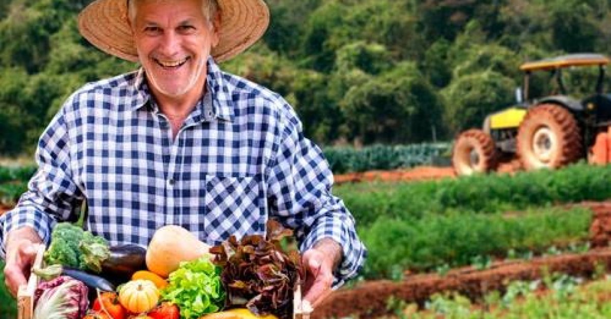 Dicas sobre como proteger a lavoura contra pragas e doenças