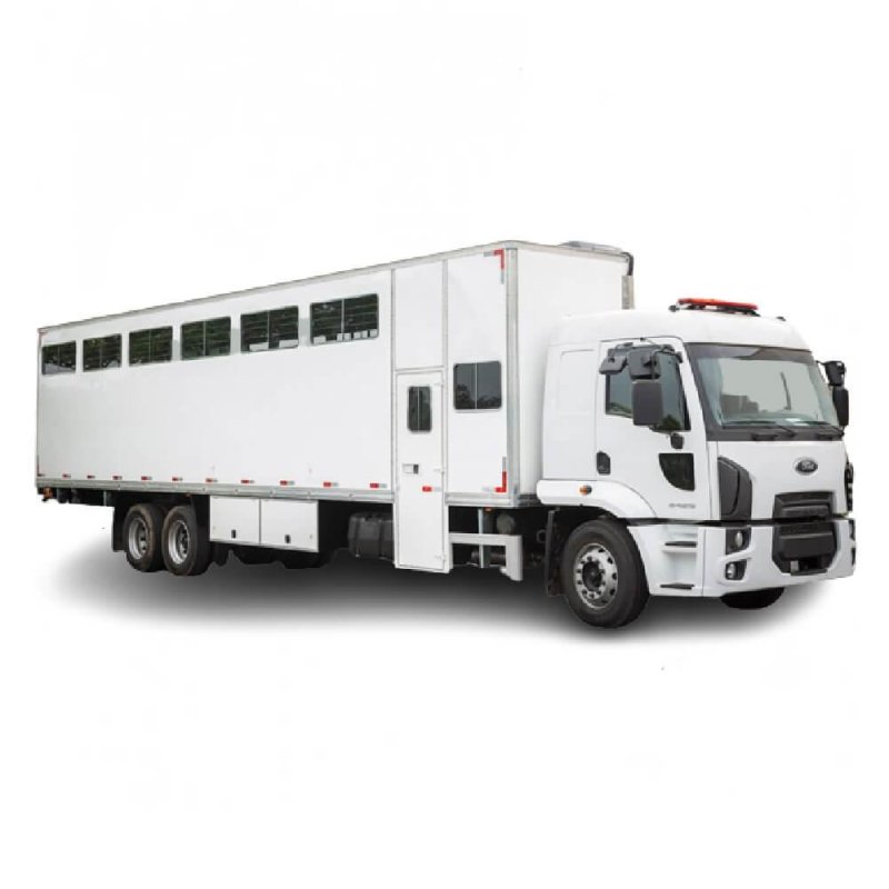 Caminhão Carga Viva 