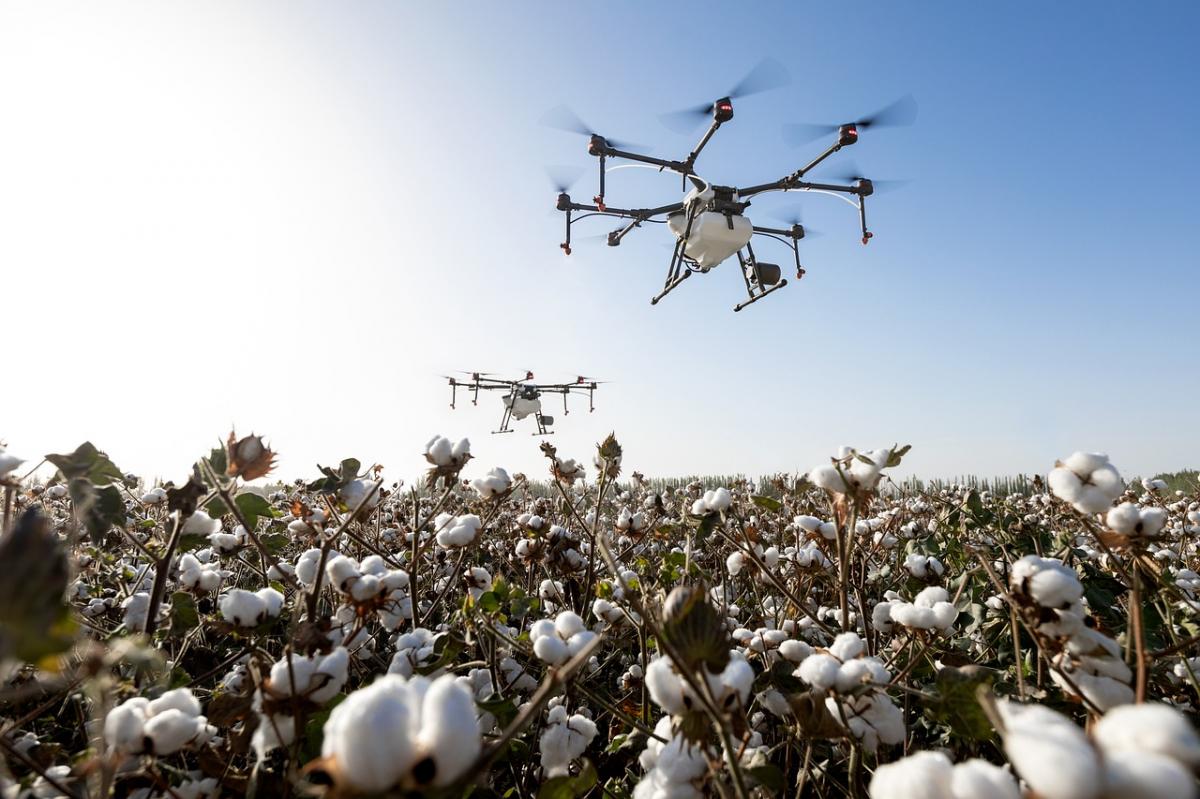 Revolução no Campo: O Impacto dos Drones na Agricultura